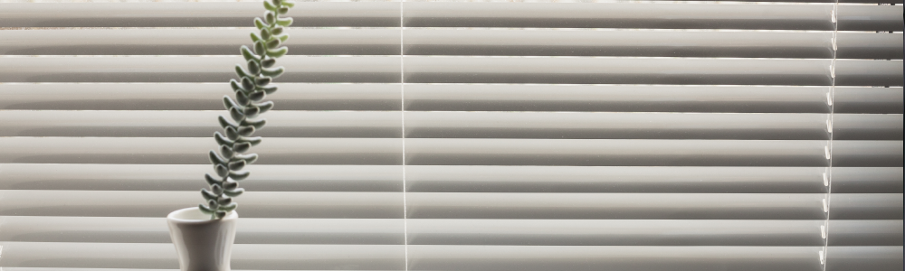 Lee más sobre el artículo hola 3